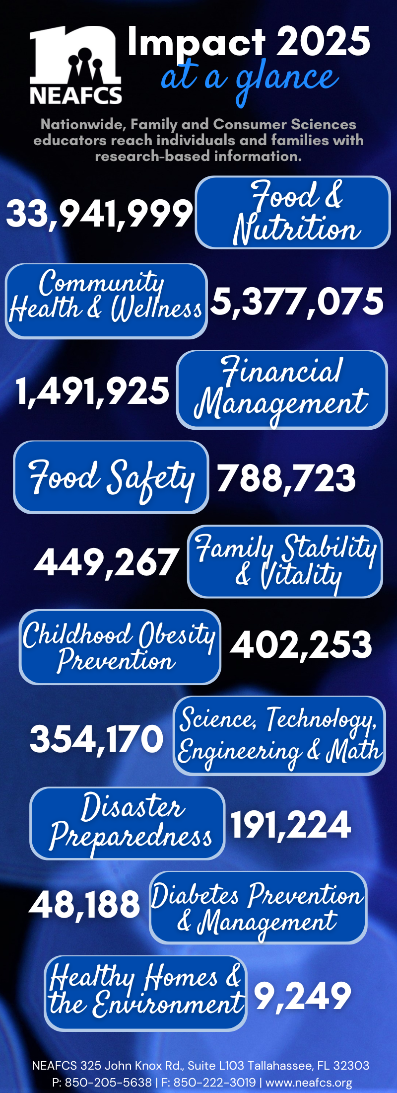 IMPACT AT A GLANCE visual data 3